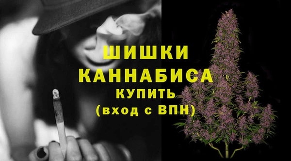 спиды Майский
