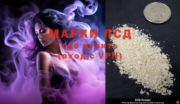 mdpv Магас