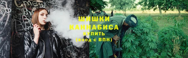 стаф Магадан