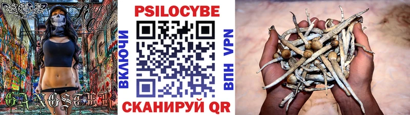 Псилоцибиновые грибы MAGIC MUSHROOMS  Купить где  Ладушкин 